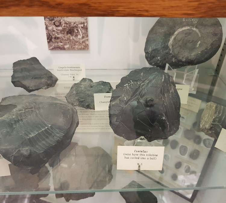 the-perkins-geology-museum-photo